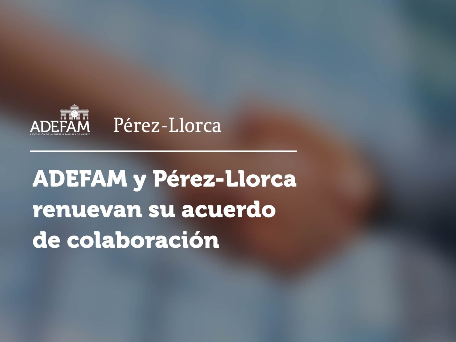 1200×900 imagen card renovación perez llorca